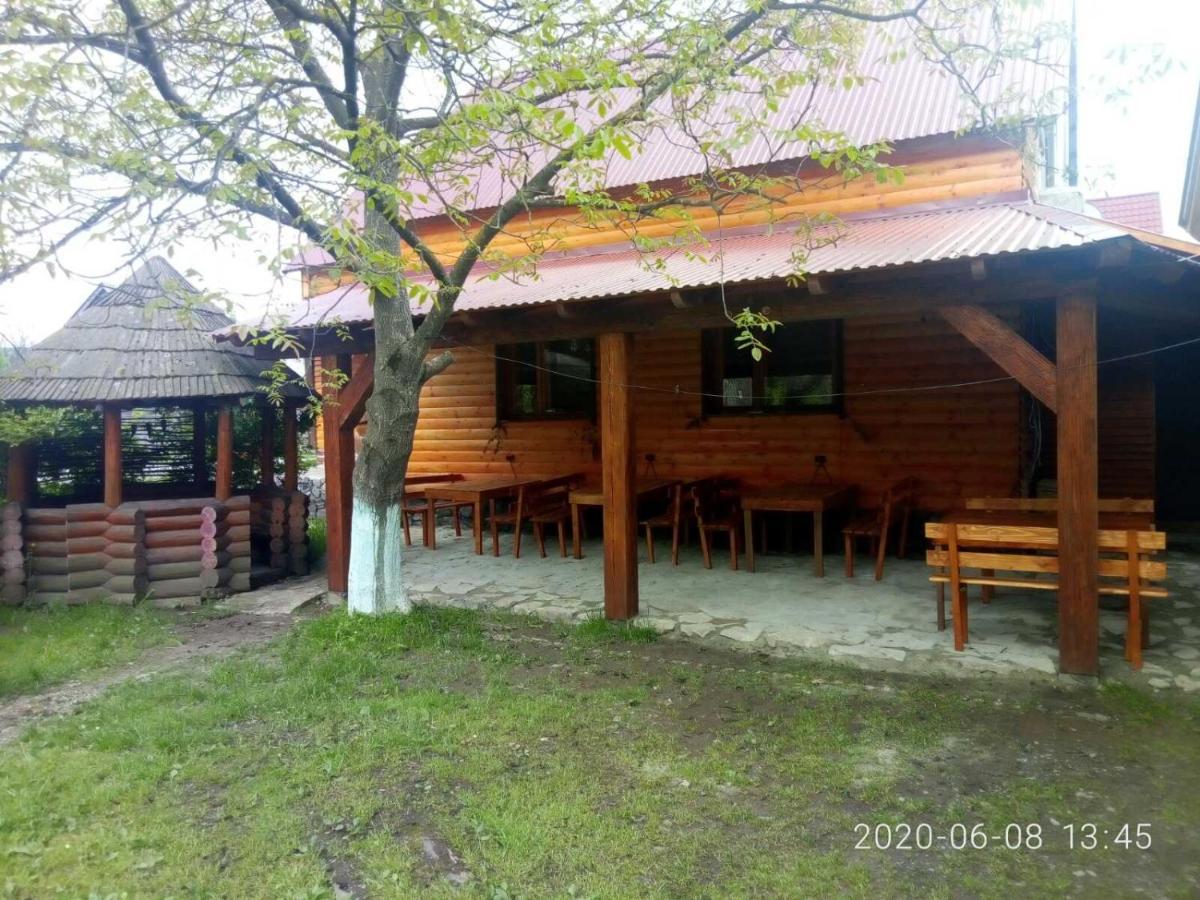 Готель Людмила Synevyr Exterior photo