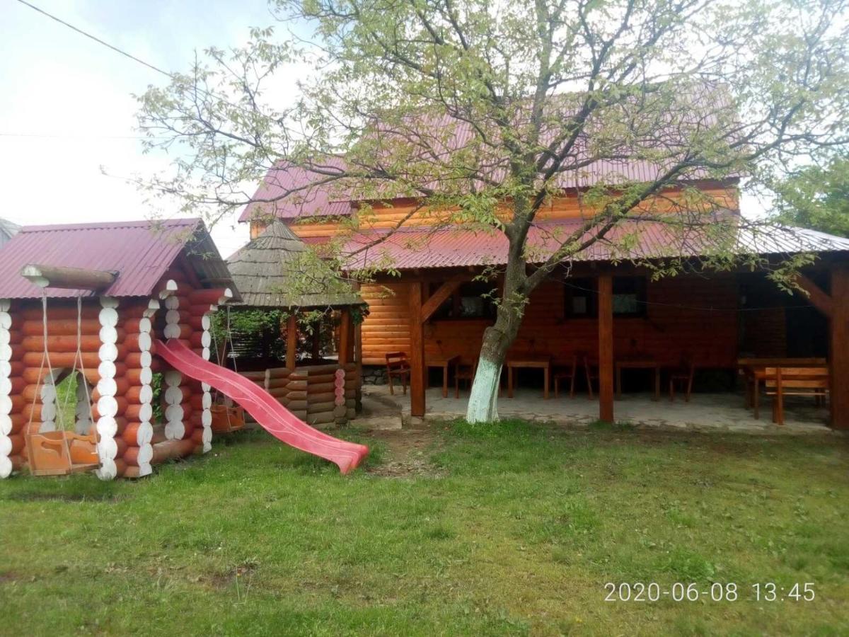Готель Людмила Synevyr Exterior photo